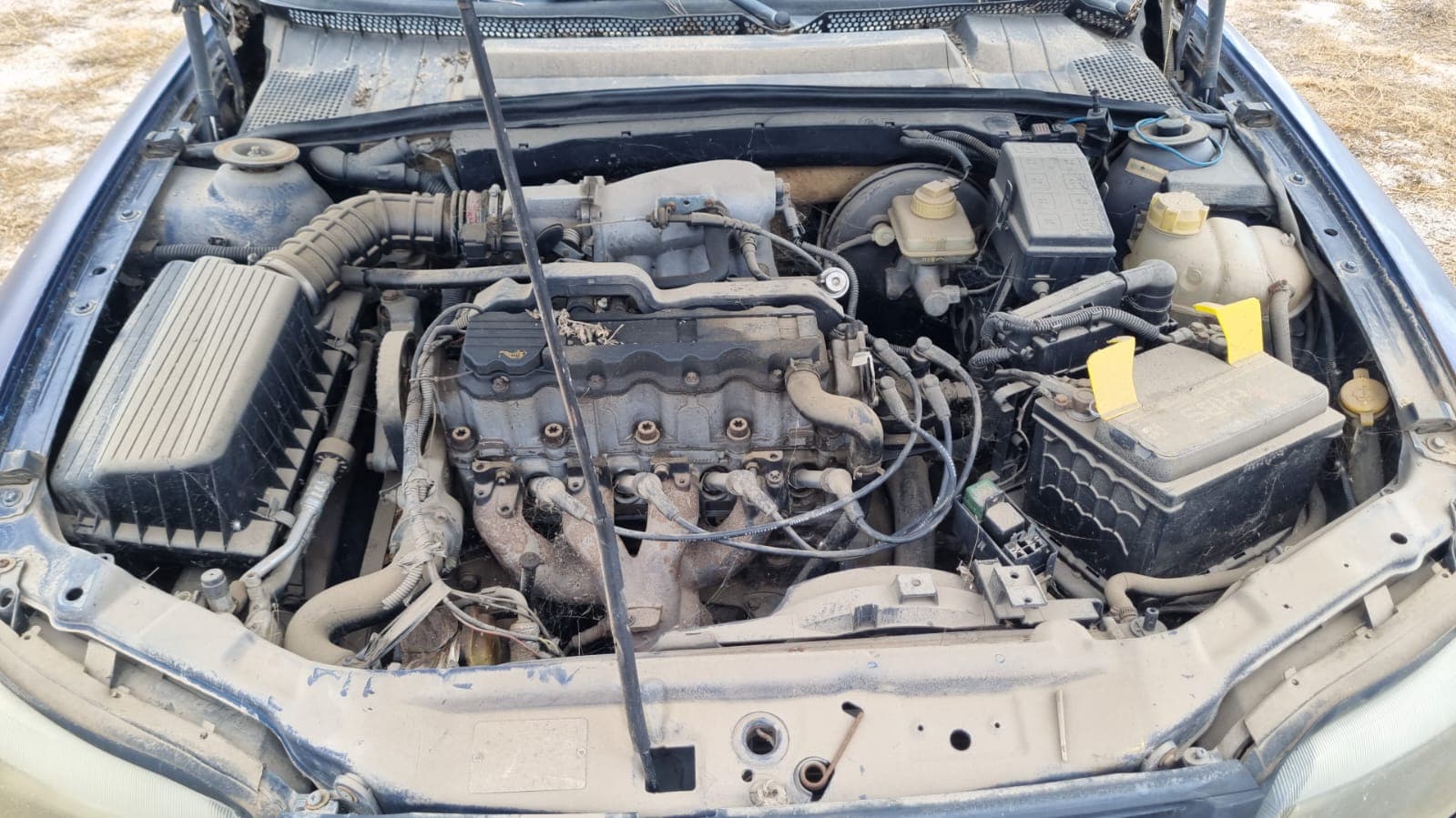 1e971f9188b1ab0425c0dacd29729977.jpg