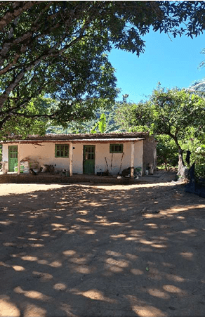 Imóvel rural com 18,52,51 ha, Wenceslau Guimarães/BA