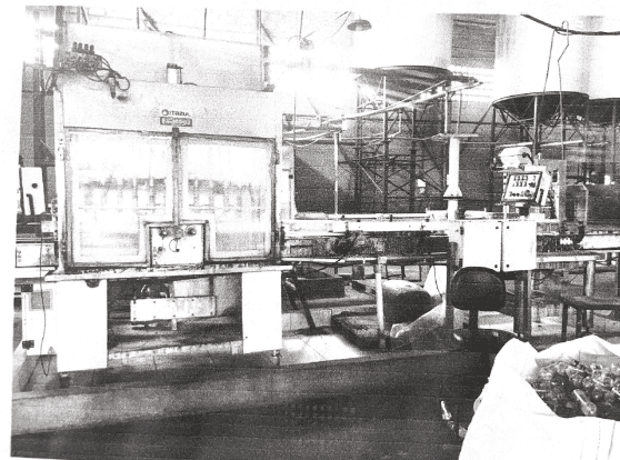 MÁQUINA ENVASADORA LINEAR