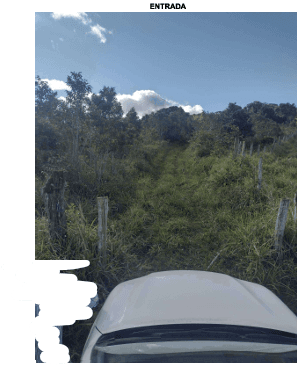 Imóvel Rural com aproximadamente 08 hectares, Camamu-Bahia